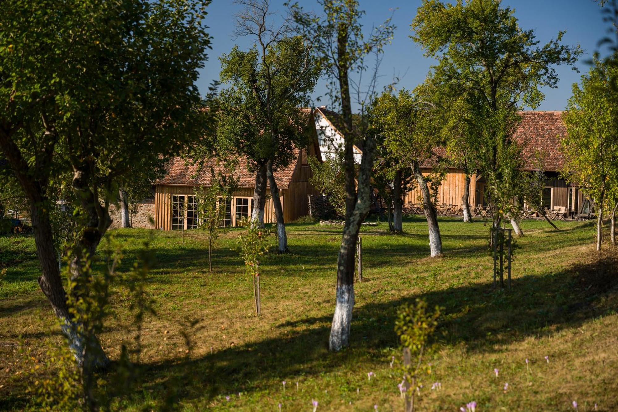 Mesendorf Gasthaus Eksteriør bilde